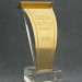  AMAKS Hotels&Resorts   RBT&MICE Award