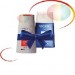  Vichy