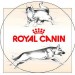  RoyalCanin   -