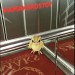 Pokemon    - . --