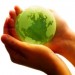 Forever Freedom International
