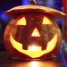 Halloween   Agava     , .