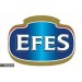  EFES 19- 20.02.13