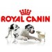 ROYAL CANIN   !